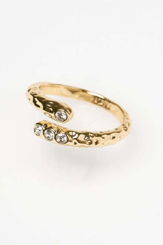 Anillo doble irregular